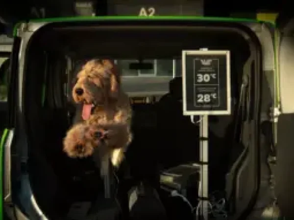 Setting_up_the_Robot_Dog-300x191-1